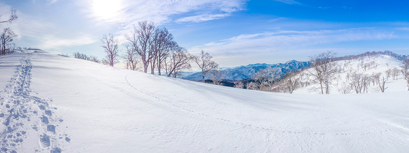 Snow Resort Wakasa