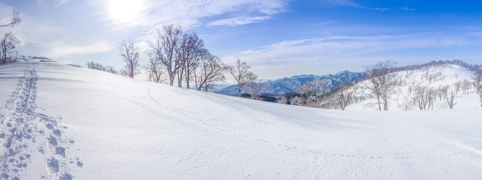 わかさ氷ノ山 スキー場