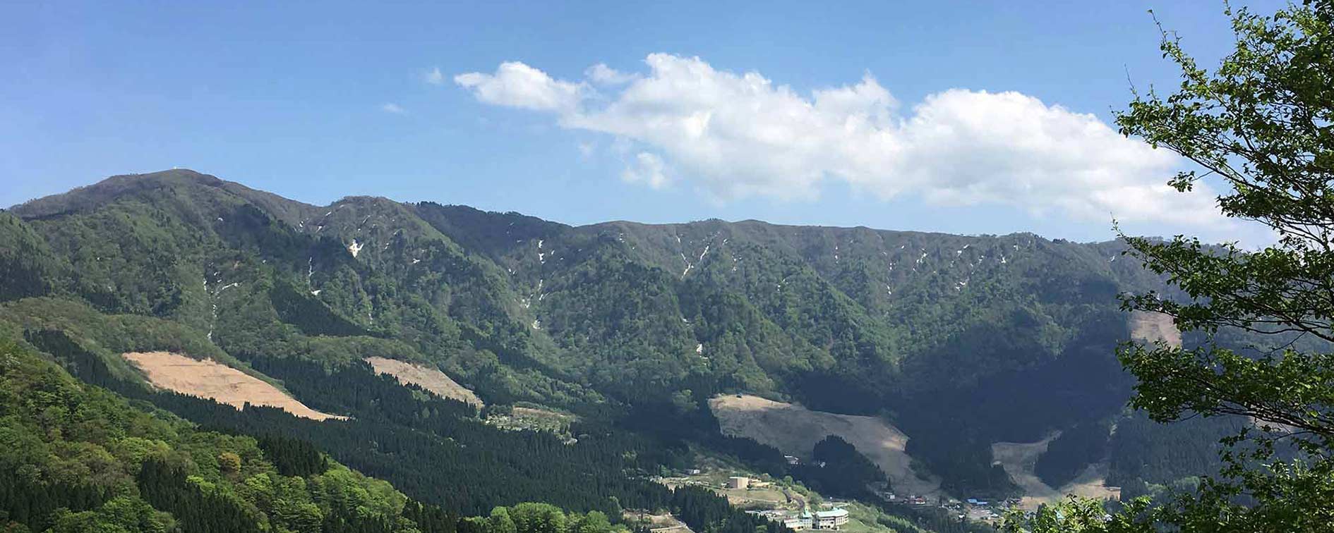 わかさ氷ノ山