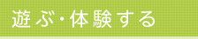 遊ぶ・体験する